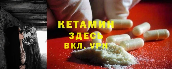 прущие грибы Строитель