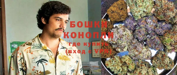 прущие грибы Строитель