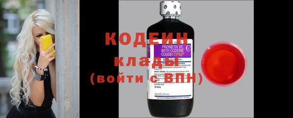 прущие грибы Строитель
