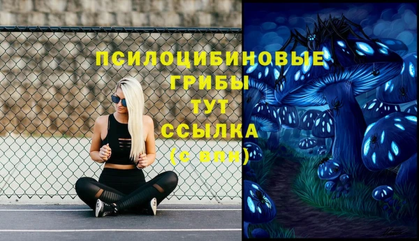 крисы Струнино
