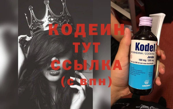прущие грибы Строитель