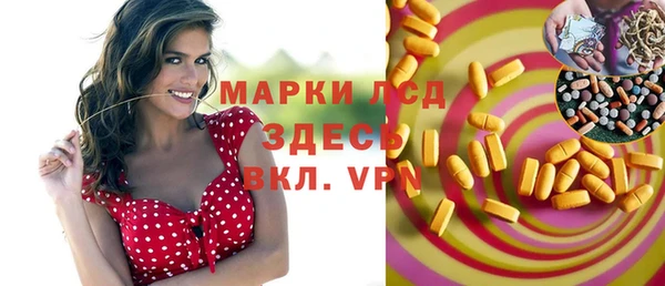 прущие грибы Строитель
